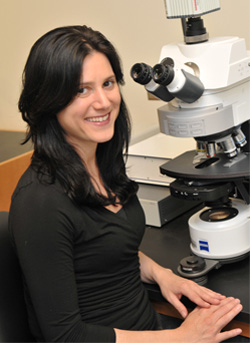 Alison R. Frand, Principal Investigator