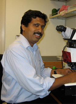 Vijaykumar Meli, Ph.D. Research Fellow